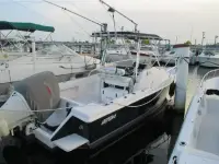 Intrepid 23 Walkaround