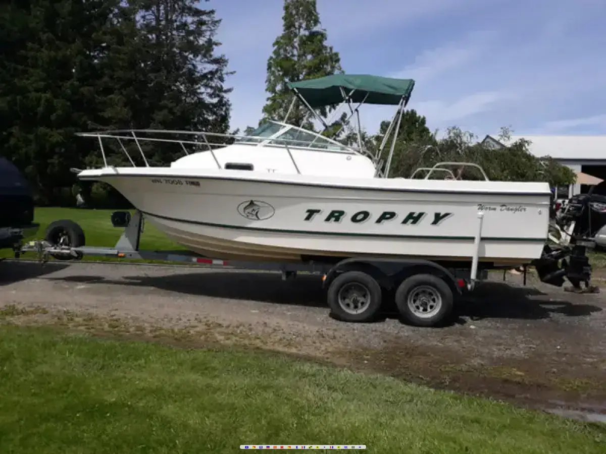Bayliner Trophy Walkaround 