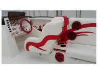E-Ticket Luxury Cat 