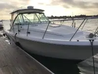 Pursuit 3000 Express 