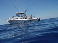 Grady White 272 Sailfish