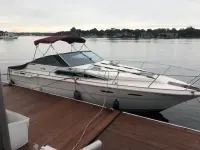 Sea Ray Weekender 