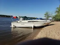 Sea Ray Express Cruiser 