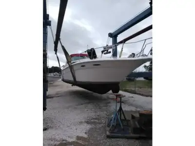 Sea Ray 370 Express