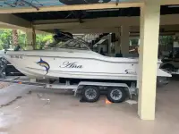 Scout Dorado 
