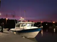 Sea Sport 2400xl 