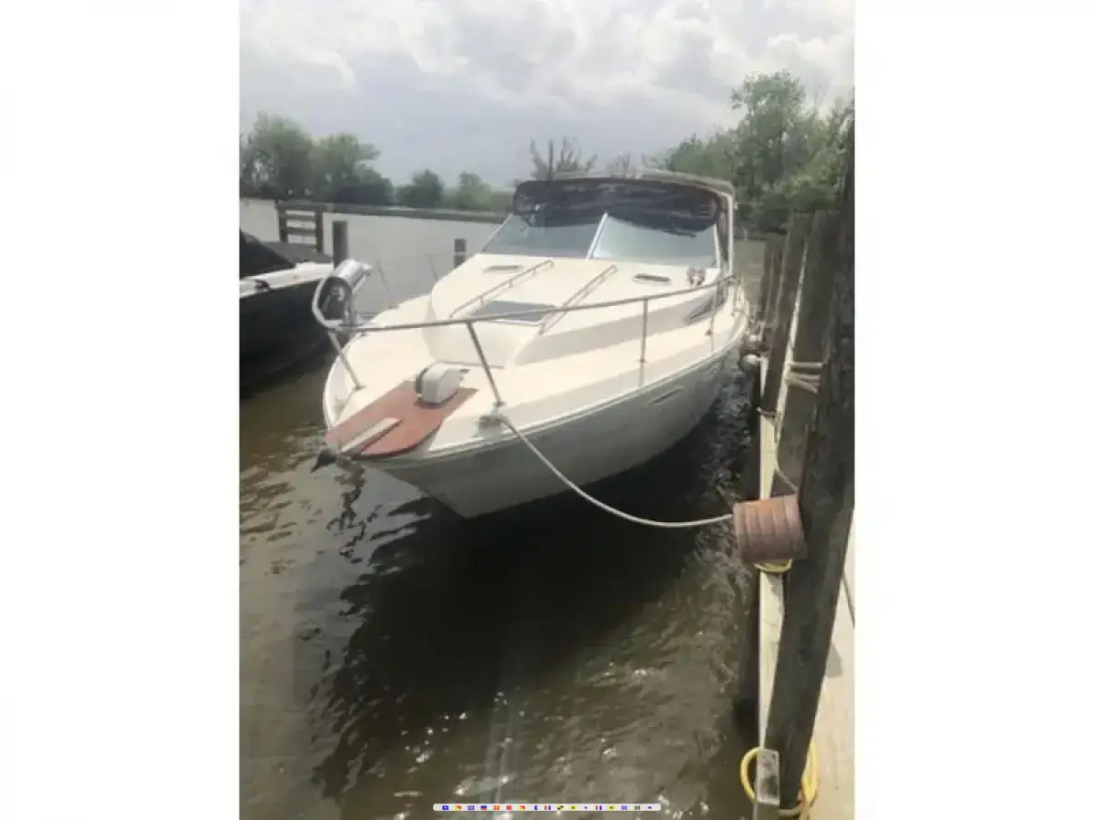 Sea Ray Weekender 300 Sea Ray Weekender 300