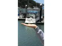 Bayliner 245 