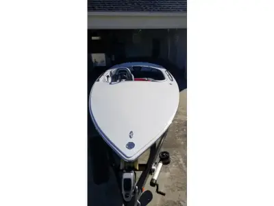 Hornet Marine 