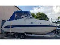 Stingray 249CS 