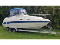 Stingray 249CS 