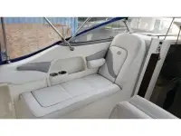 Stingray 249CS 