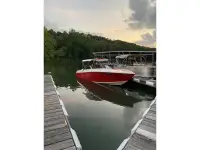 Stingray SVC