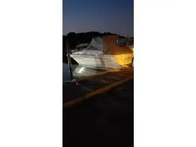 Sea Ray Sundancer