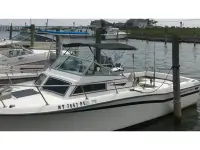 Grady White Walkaround 