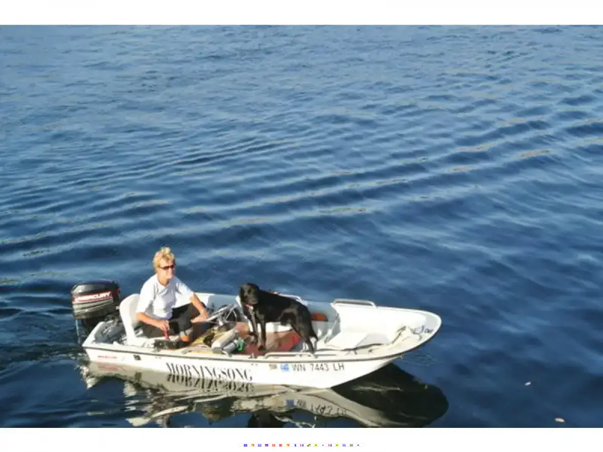 Boston Whaler 11 foot Sport 