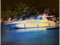 Sea Ray Sundancer 500 