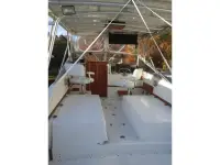 Blackfin 29 Combi 