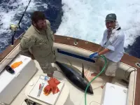 Blackfin Flybridge 