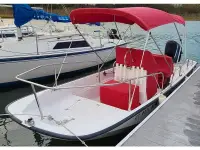 Boston Whaler Montauk 