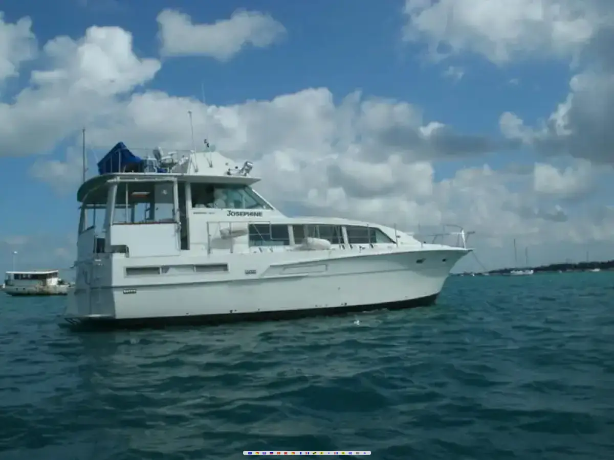Motor Yacht 46 