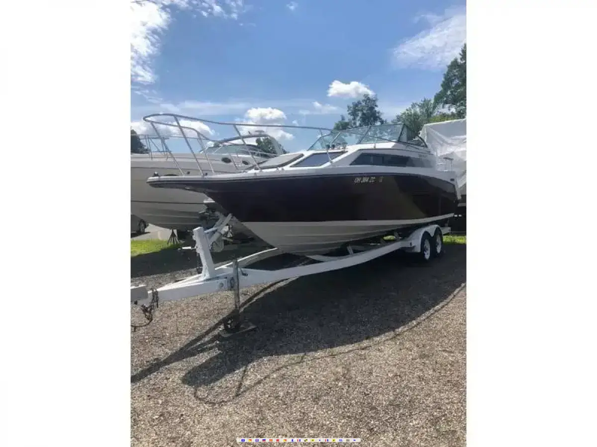 Rinker Fiesta Vee 250 