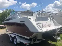 Rinker Fiesta Vee 250