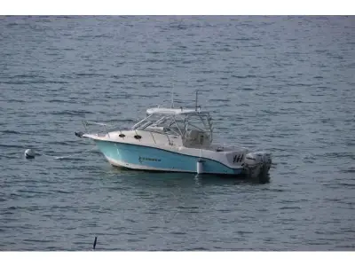 Sea Swirl 2901 
