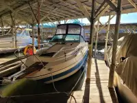 Sea Ray Sundancer 260 