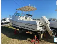 Wellcraft Walkaround Cuddy 