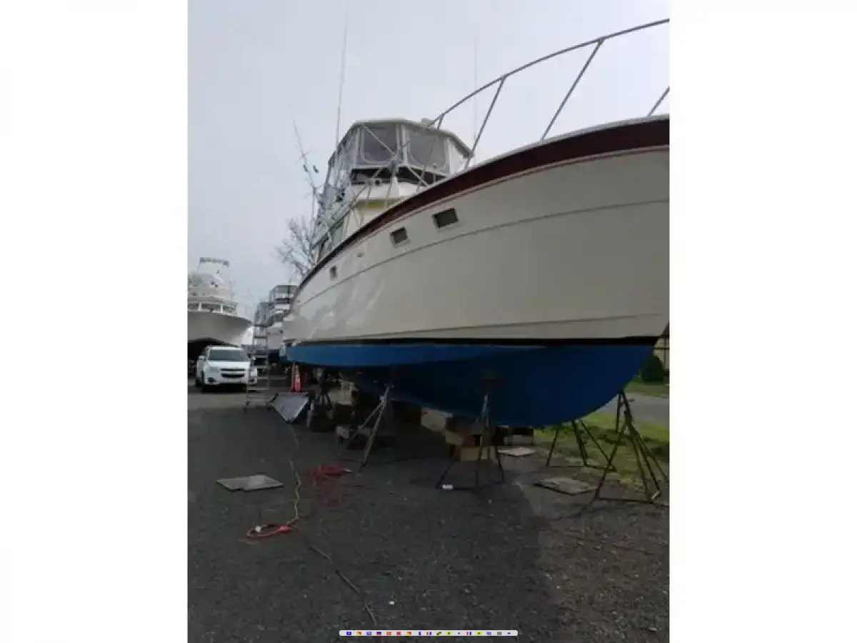 Hatteras 43C Sportfisherman 