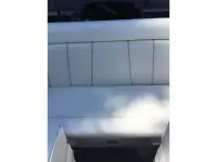 Cheetah Stilletto Walk Thru 