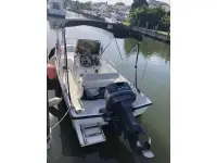 Boston Whaler Dauntless 