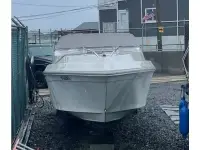 Sea Ray Pachanga 
