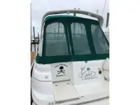 Cruisers 2870 Rogue 