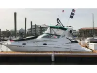 Cruisers 2870 Rogue 