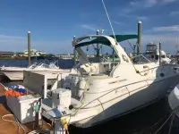 Cruisers 2870 Rogue 