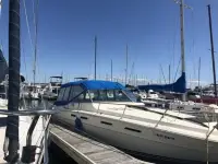 Sea Ray Weekender 
