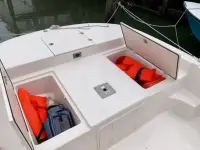 Carolina Skiff LS