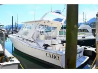 Cabo Express Sportfisher