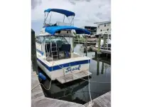 Chris Craft Catalina 291 