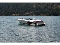 Formula 242 LS 