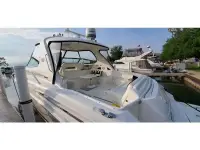 Sea Ray Sundancer 550 Sundancer 