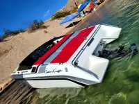 Chris Craft Stinger 222