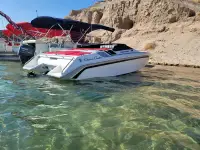 Chris Craft Stinger 222