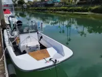 Boston Whaler Montauk