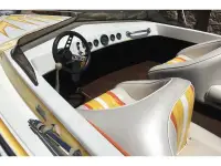 Cole Mini Cruiser 