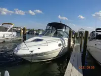 Sea Ray Sundancer 240 Sundancer 