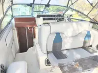 Sea Ray Sundancer 270 Sundancer 