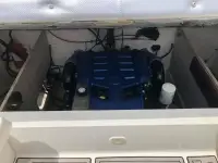 Envision Illusion XS 
